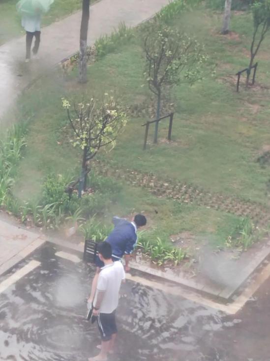 淄博机电工程学校(校园正能量,青春好榜样) 淄博机电工程学校(校园正能量,青春好榜样)