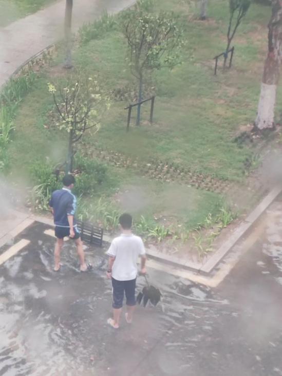 淄博机电工程学校(校园正能量,青春好榜样) 淄博机电工程学校(校园正能量,青春好榜样)